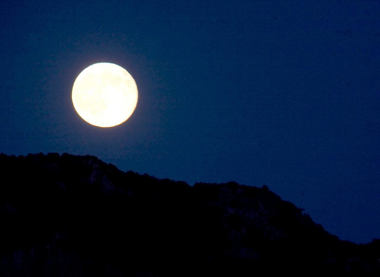 A maggio la luna dei fiori: sarà la più piccola e la più luminosa del 2026 – Quando vederla, il significato