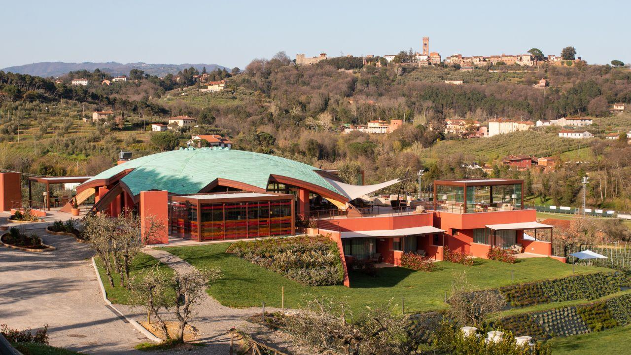 
	Una parte della tenuta del Buonamico a Montecarlo

