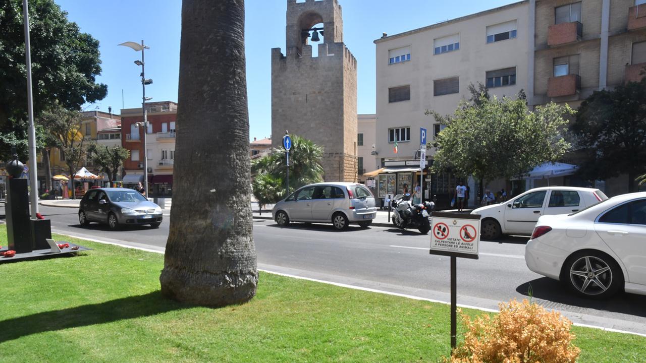 Zedda punta tutto sull’ambiente: più alberi in città, in Aula il Piano del verde