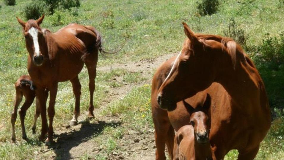 Foto dal profilo Facebook