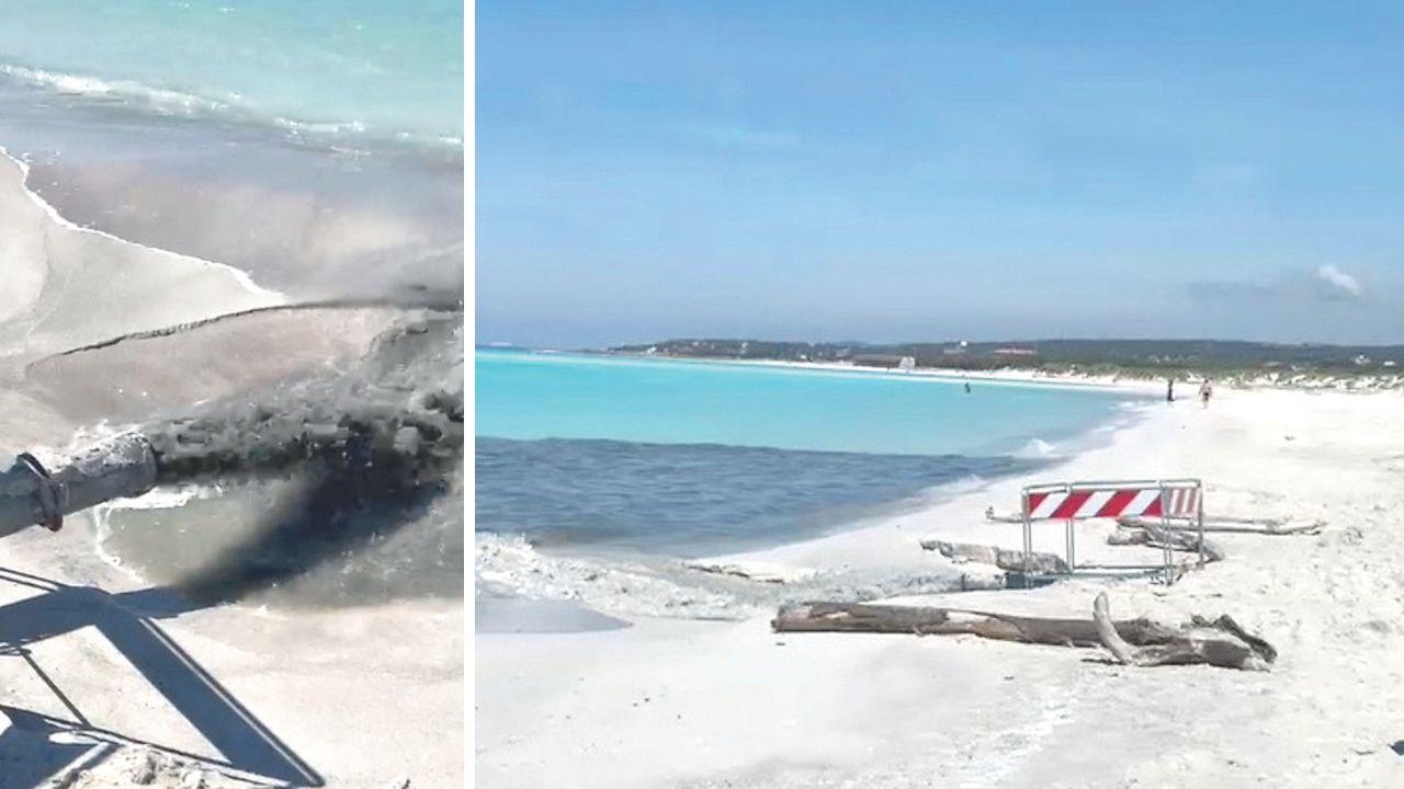 
	Il tubo in azione alle Spiagge Bianche e l'acqua resa scura dalle alghe

