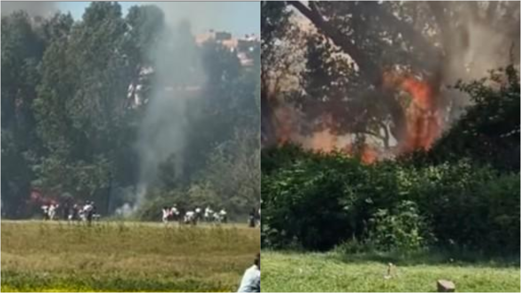 Il barbecue, le fiamme, le famiglie in fuga: primo maggio, pomeriggio di paura al parco – Ecco che cosa è successo