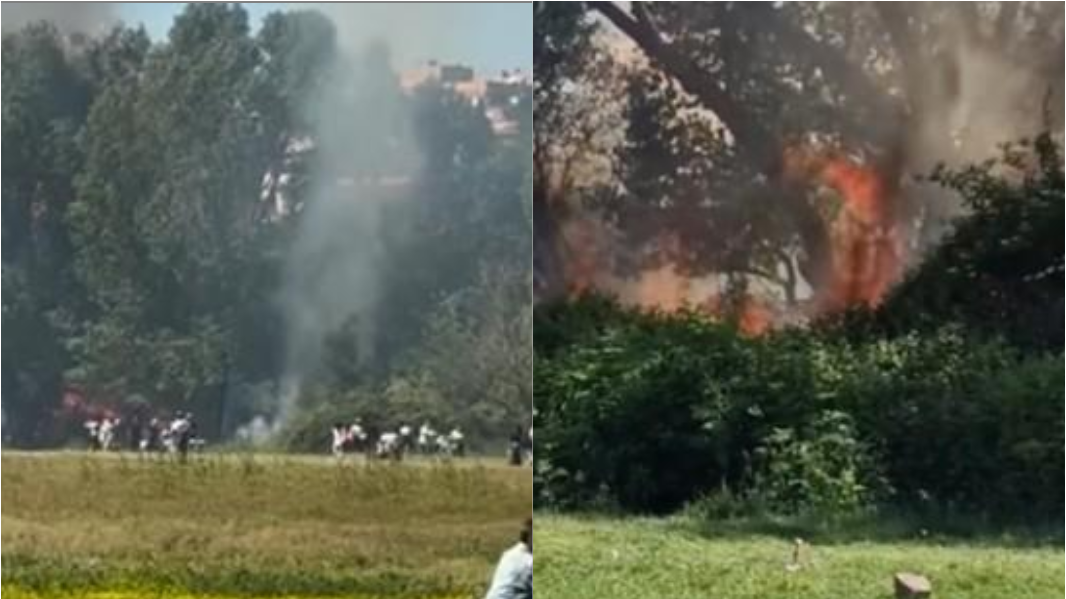 Il barbecue, le fiamme, le famiglie in fuga: primo maggio, pomeriggio di paura al parco – Ecco che cosa è successo