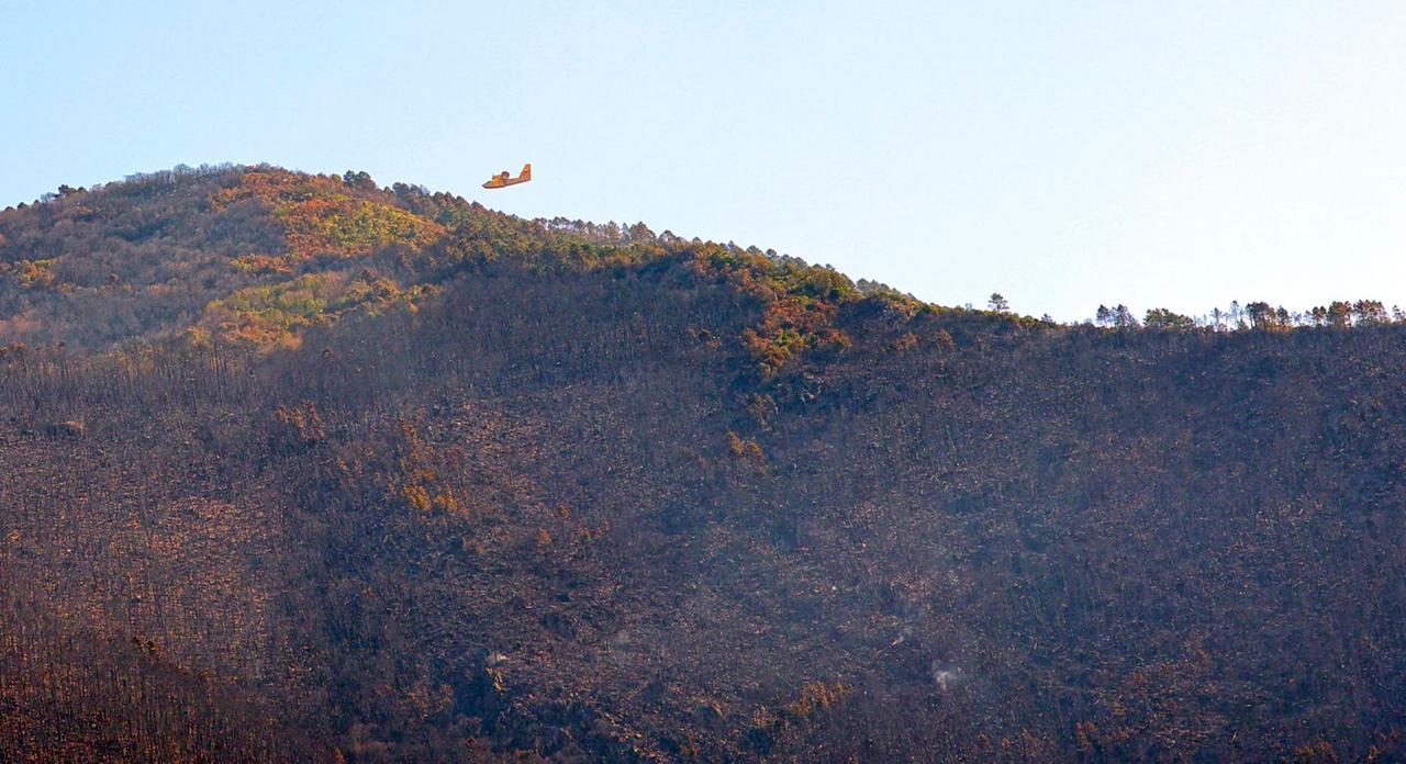 
	Il monte devastato dal fuoco (foto Stick)

