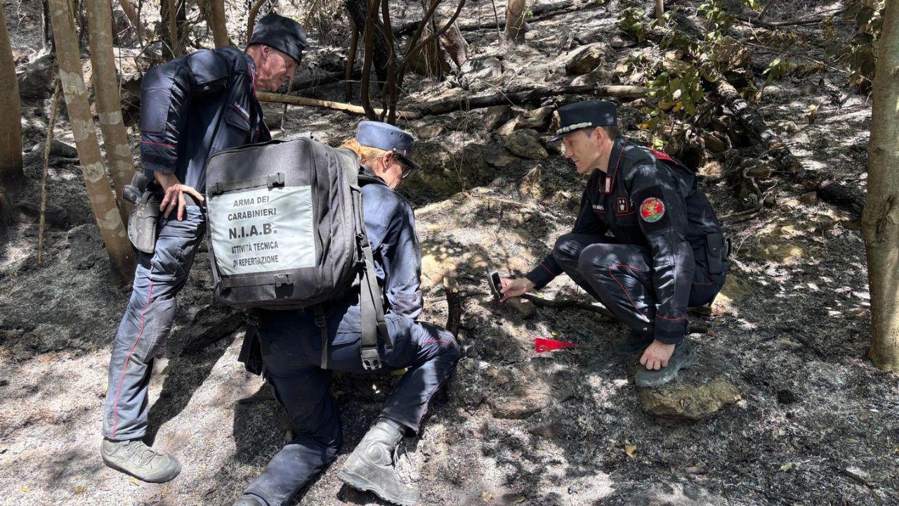 Incendio sul Monte Faeta, ci sono due indagati: «Sì, siamo stati noi» – Cosa è successo nell’oliveto
