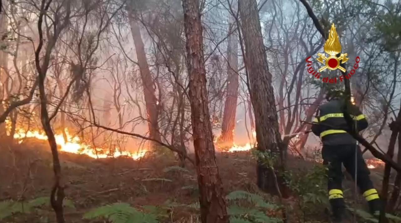 Tre giorni di inferno in Toscana, oltre 700 ettari in fiamme, strage di animali e migliaia di sfollati: due indagati – Ecco che cosa è successo VIDEO