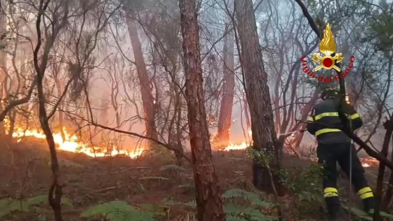 Tre giorni di inferno in Toscana, oltre 700 ettari in fiamme, strage di animali e migliaia di sfollati: due indagati – Ecco che cosa è successo VIDEO