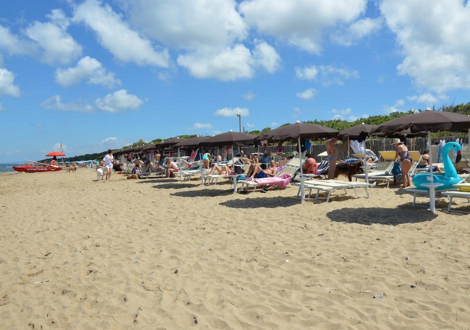 
	Uno scorcio della spiaggia per cani Bau Beach (foto d&rsquo;archivio)

