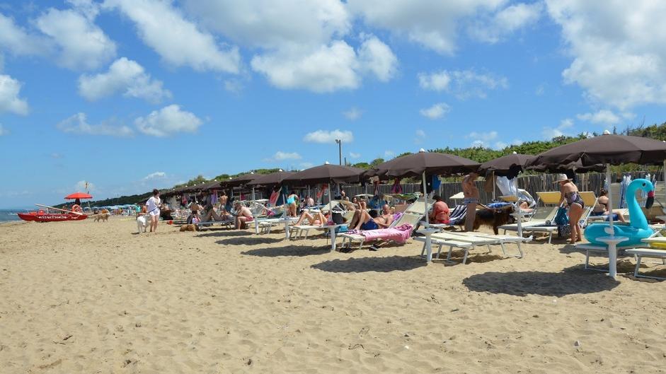 Uno scorcio della spiaggia per cani Bau Beach (foto d’archivio)