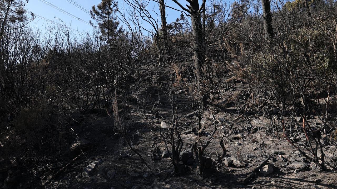 Il Monte Faeta devastato dal fuoco