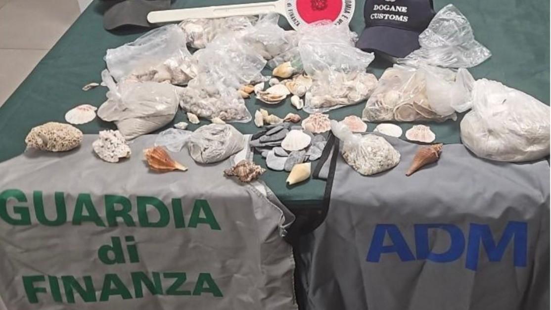 In valigia sei chili di conchiglie e sabbia: fermata ad Alghero donna in partenza per Budapest