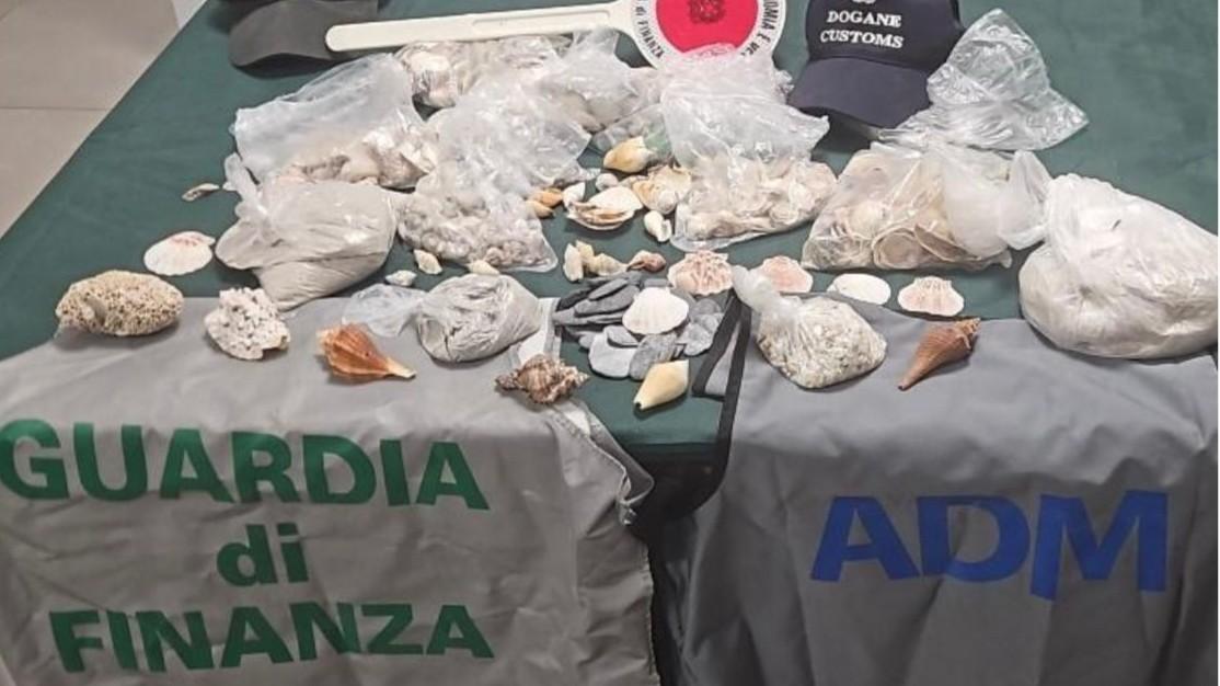 In valigia sei chili di conchiglie e sabbia: fermata ad Alghero donna in partenza per Budapest