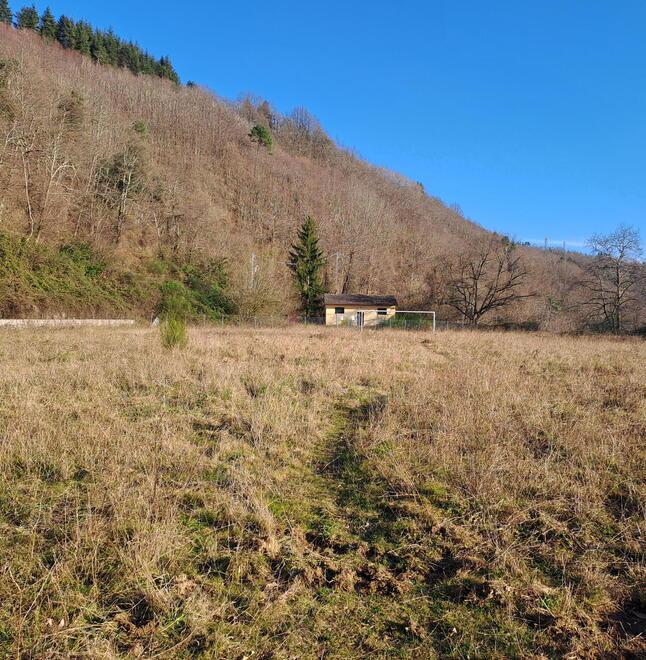 
	La situazione del campo sportivo


