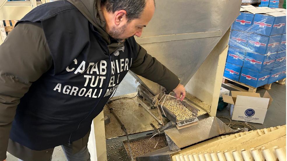 Reggiolo, maxi sequestro di cereali e legumi: 90 tonnellate tra roditori ed escrementi, denunciato un imprenditore