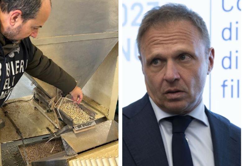 Roditori tra i cereali a Reggiolo, interviene il ministro Lollobrigida: «Inaccettabile. Necessari controlli rigorosi in tutta la filiera»