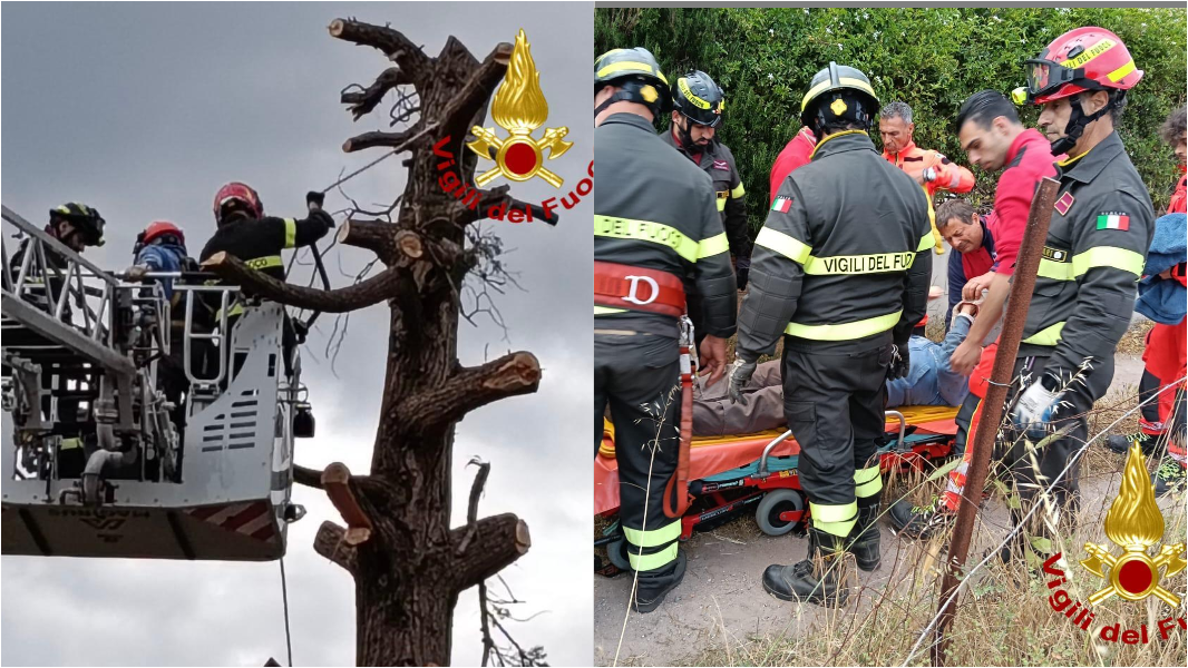 Colpito dal ramo di un pino che stava potando: operaio bloccato a 10 metri d’altezza