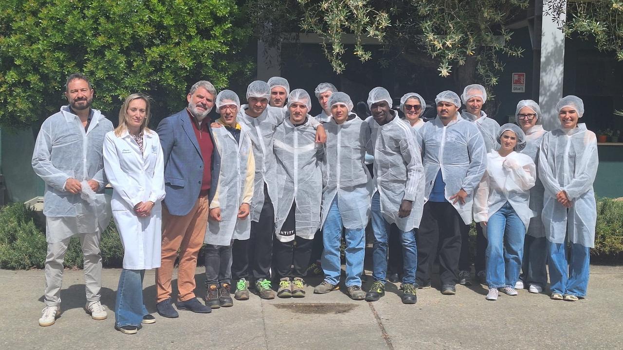 Dall’Ipia in visita all’Oleificio San Giuliano: viaggio dentro un’eccellenza – VIDEO