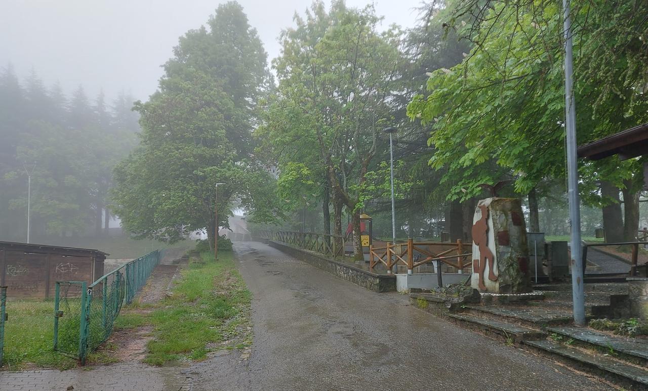 Arriva in pineta a Serra con un machete scatenando il panico tra la gente