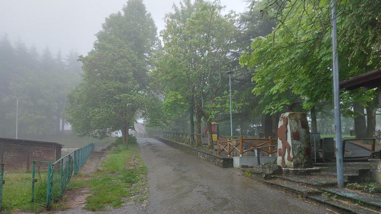 Arriva in pineta a Serra con un machete scatenando il panico tra la gente
