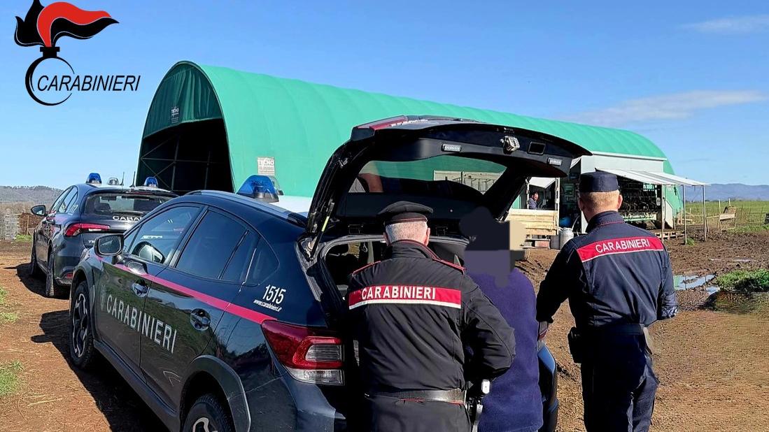 Un'attività dei carabinieri (foto d'archivio)