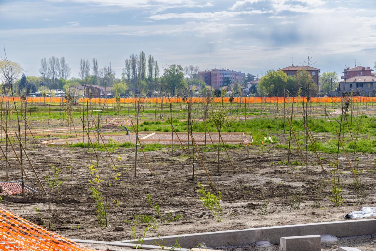 Ferrara entra nella rete “Tree Cities of the World”