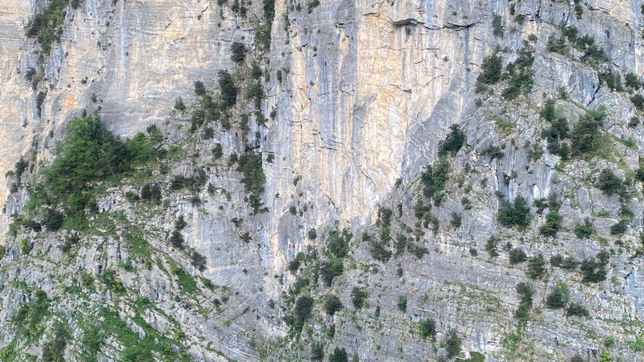 
	Il punto dell'intervento&nbsp;

