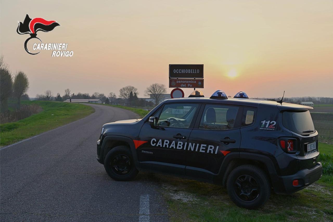 Occhiobello, arresti domiciliari per una donna condannata per bancarotta fraudolenta