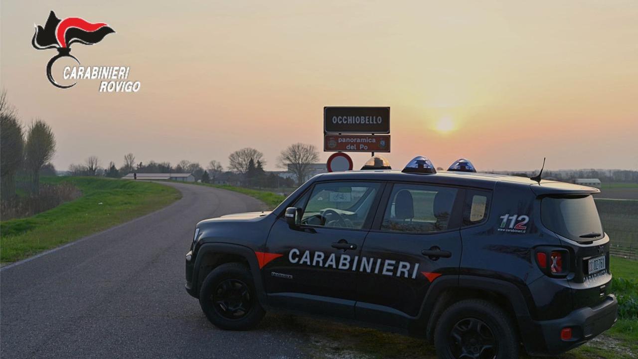 Occhiobello, arresti domiciliari per una donna condannata per bancarotta fraudolenta