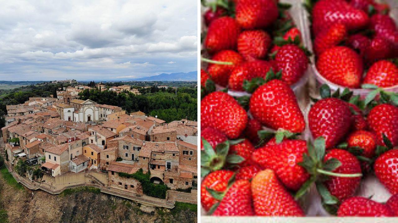
	Il paese di Terricciola

