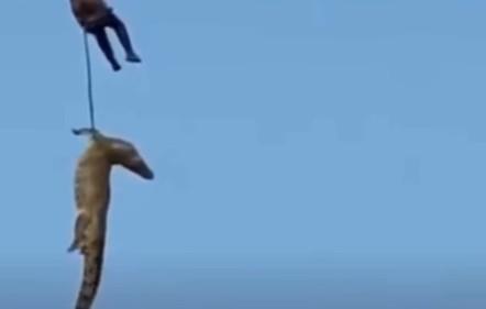 Scomparso dall’hotel, lo ritrovano nello stomaco di un coccodrillo – Ecco che cosa sappiamo