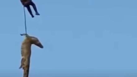 Scomparso dall’hotel, lo ritrovano nello stomaco di un coccodrillo – Ecco che cosa sappiamo