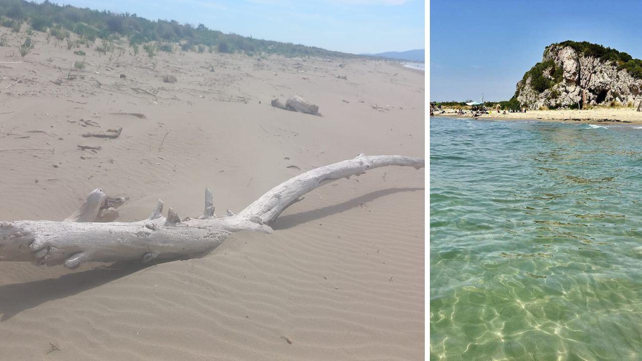Uno dei magnifici tronchi che popolano la spiaggia di Marina di Alberese