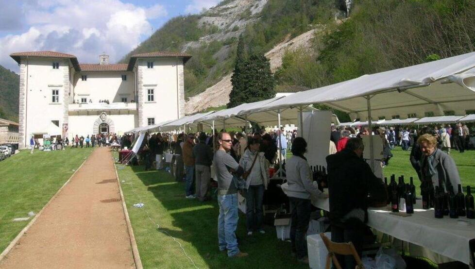 Al via Enolia, un viaggio nel gusto tra olio, vino e sapori del territorio