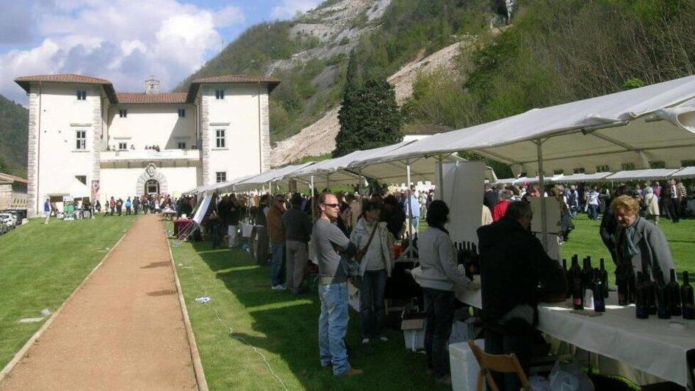 Al via Enolia, un viaggio nel gusto tra olio, vino e sapori del territorio
