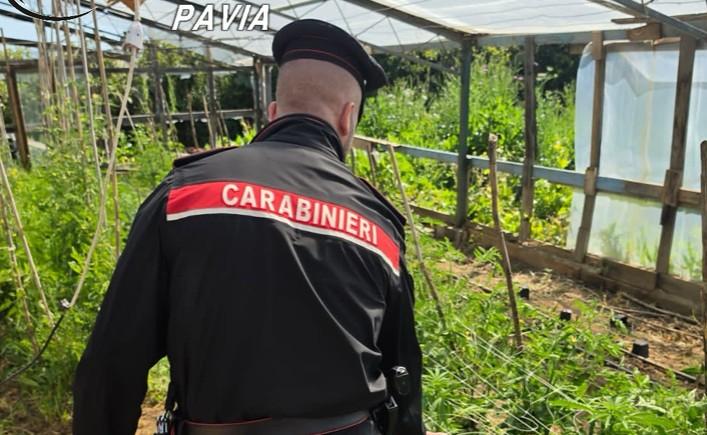 Maxi operazione antidroga fra la Penisola e la Sardegna: 2 arresti, 17 indagati, ingenti quantità di droga sequestrata – I dettagli