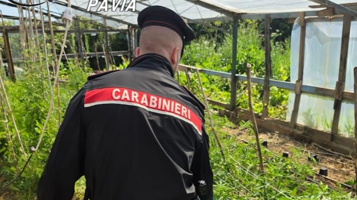 Maxi operazione antidroga fra la Penisola e la Sardegna: 2 arresti, 17 indagati, ingenti quantità di droga sequestrata – I dettagli