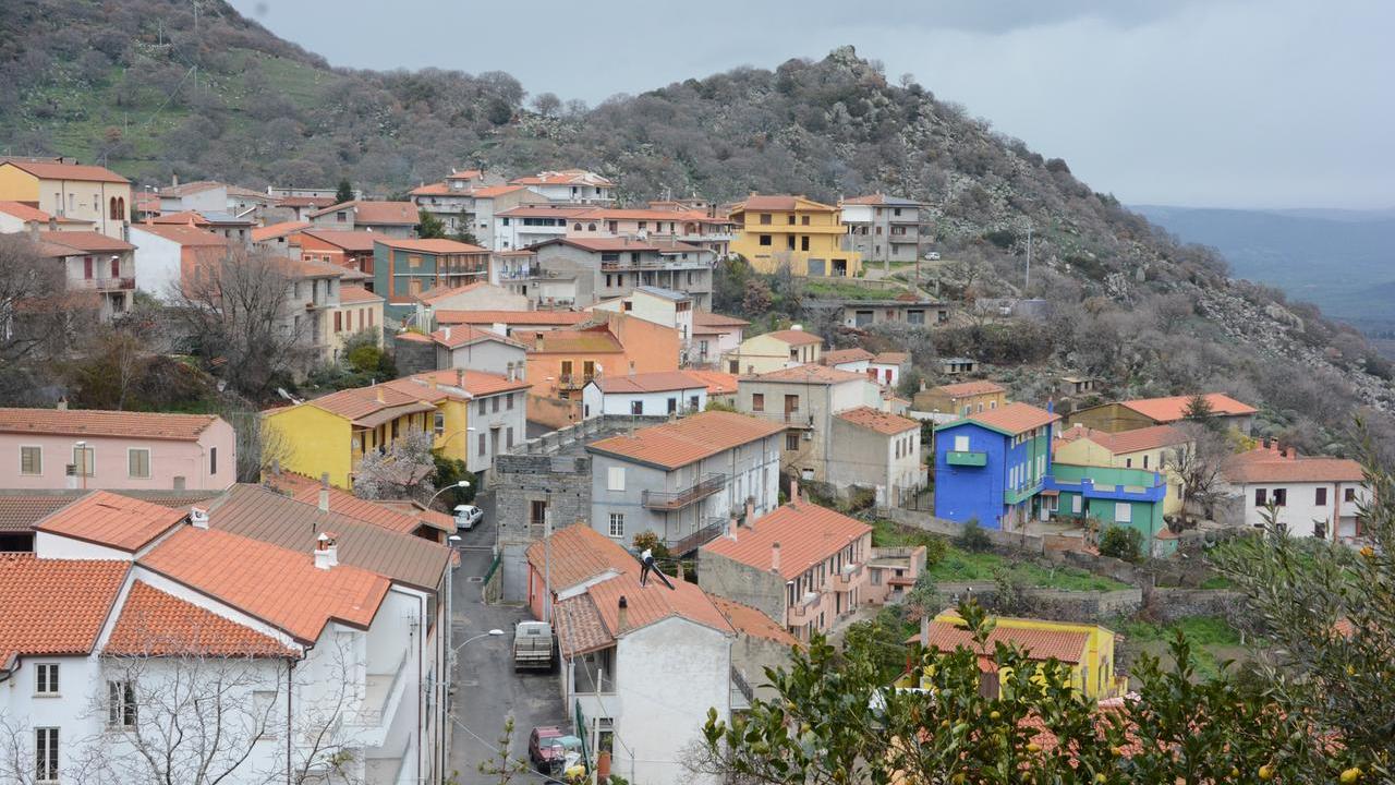 -
BIDDAS BURGOS