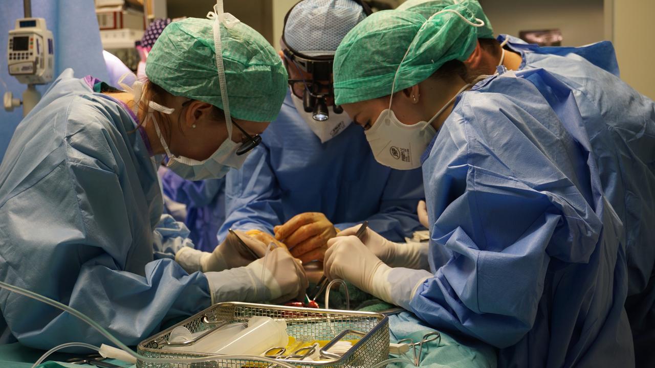 Choc in ospedale, medico asporta il fegato al posto della milza: morto il paziente