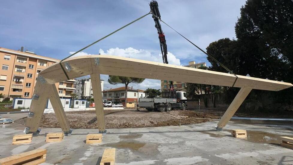 Una parte dell’ assemblaggio della struttura lignea che costituirà il nuovo nido