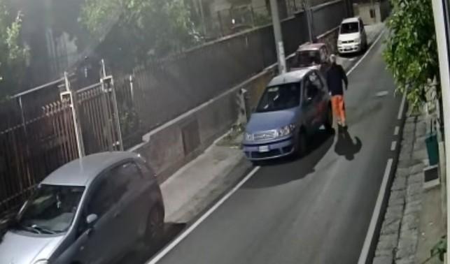 Abbandona la sua cagnolina che muore investita: rischia fino a sette anni – IL VIDEO