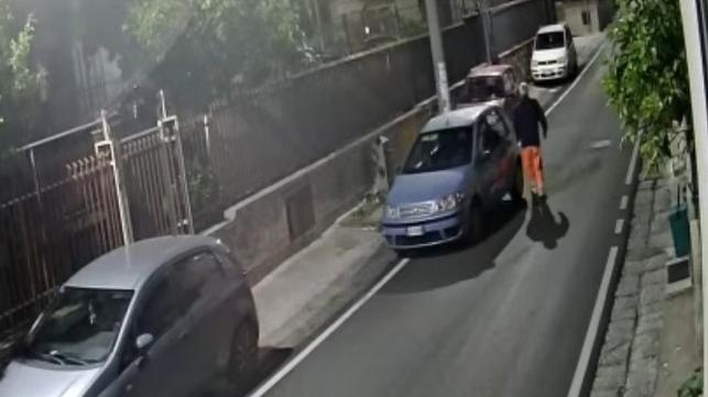 Abbandona la sua cagnolina che muore investita: rischia fino a sette anni – IL VIDEO