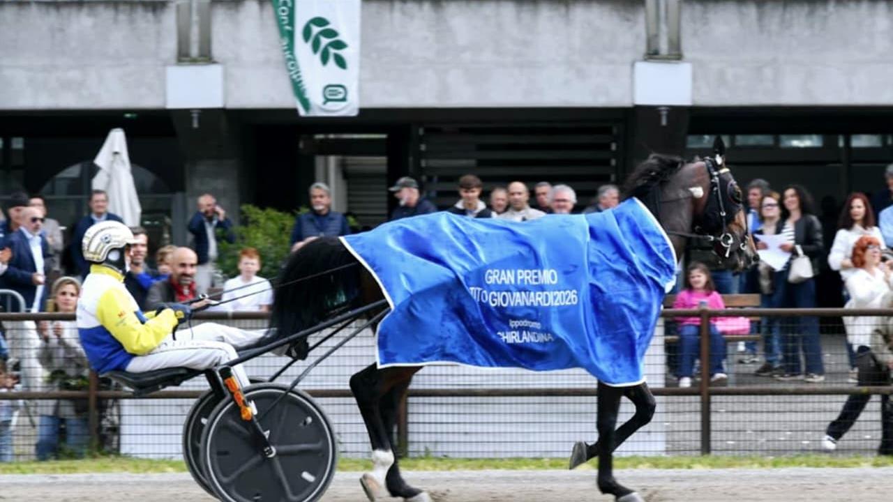 La passerella di Ideal Turdance dopo la vittoria nel Giovanard