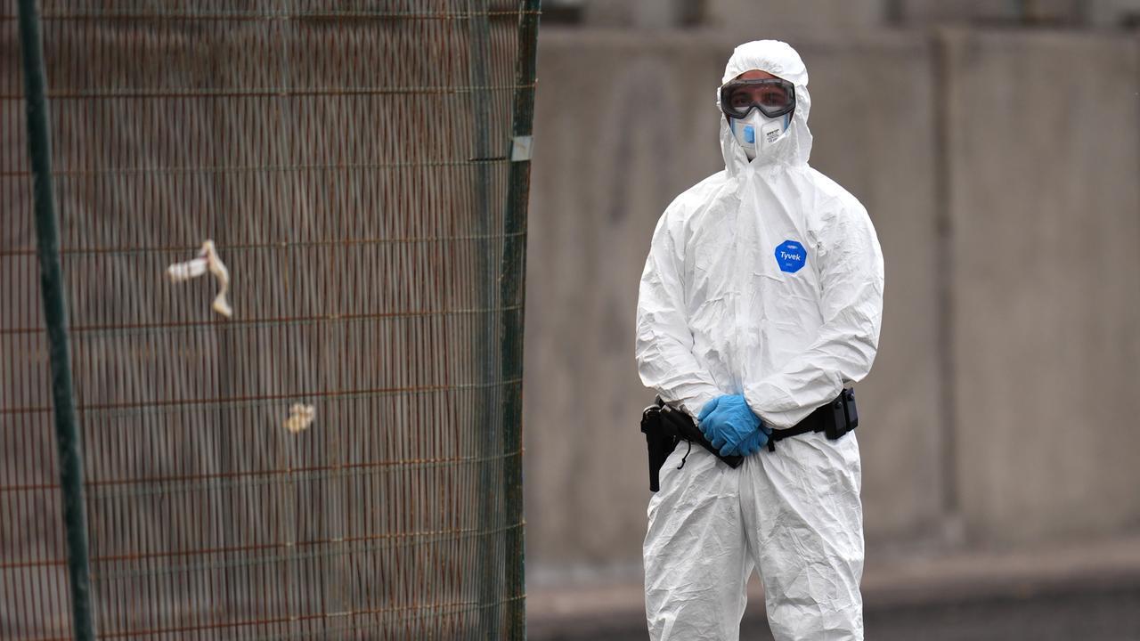 Hantavirus, in Italia 4 isolamenti e si accelera sul vaccino. L’esperto: «Diverso dal Covid, ma più letale»