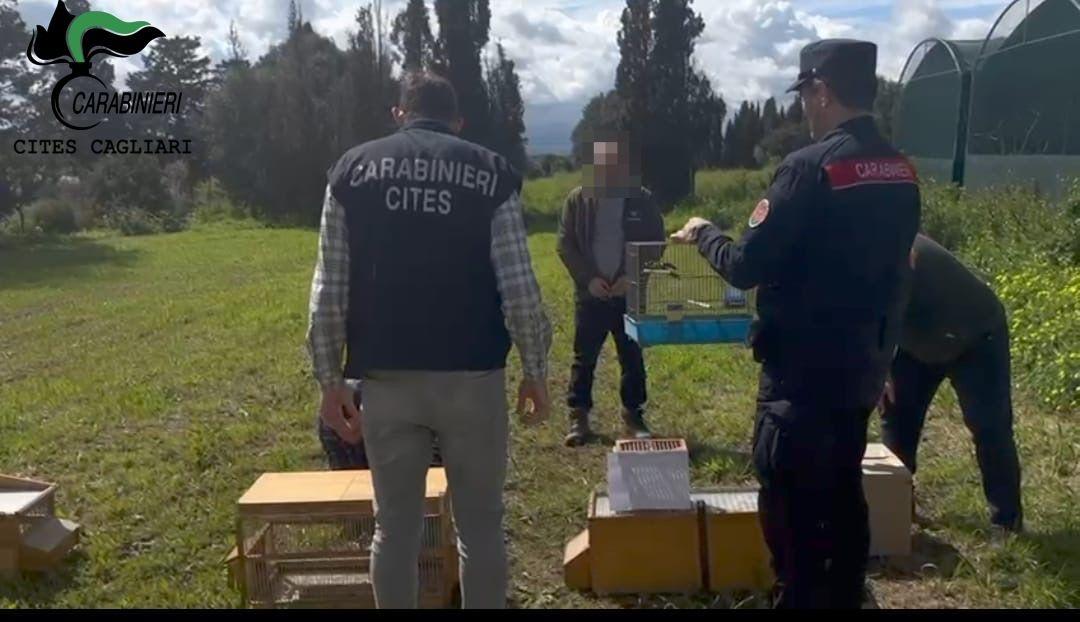 Maxi operazione antibracconaggio: denunciate 15 persone, rischiano fino a 8 anni di carcere – VIDEO