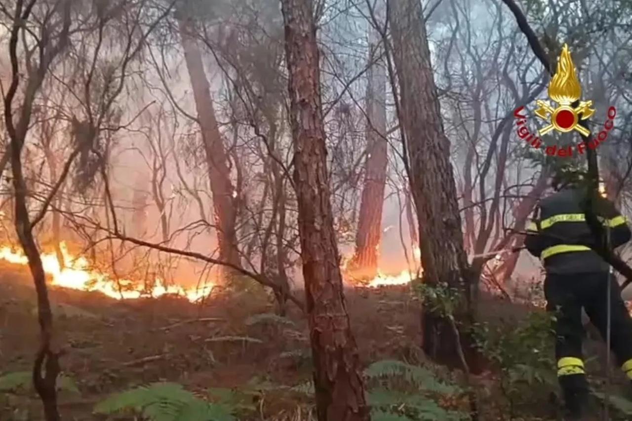 Lucca, incendio del Monte Faeta: incarico a un consulente