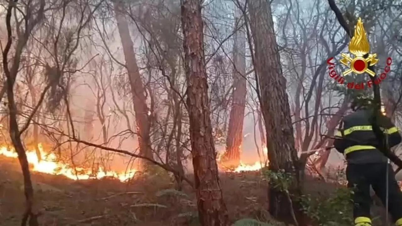 Lucca, incendio del Monte Faeta: incarico a un consulente
