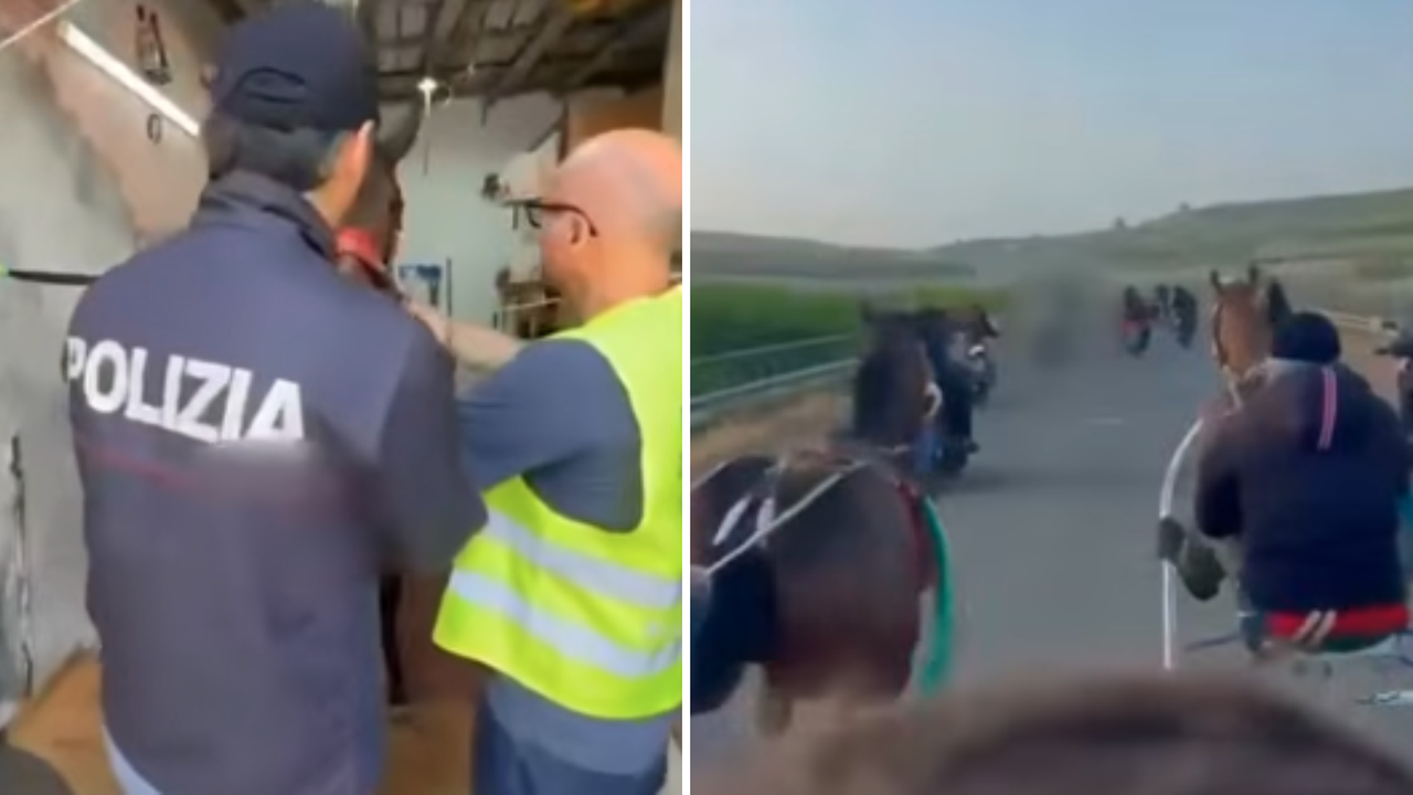 Corsa clandestina di cavalli con colpi di kalashnikov: denunciati due fantini