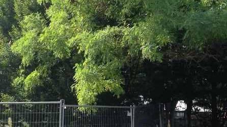 «Parco Mendez ancora inagibile»