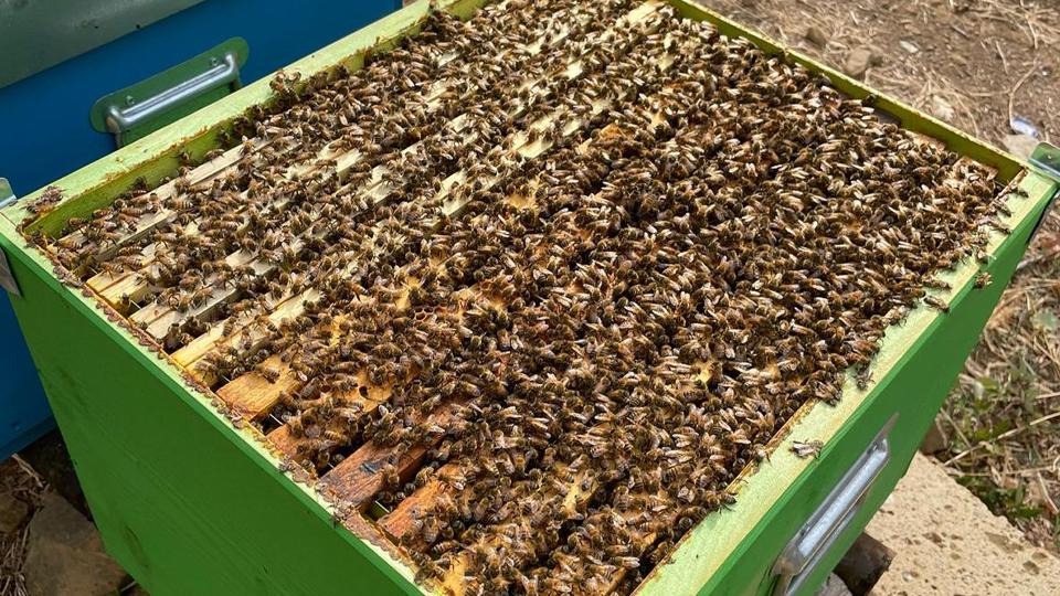 Se la passione diventa lavoro l’eccellenza è assicurata