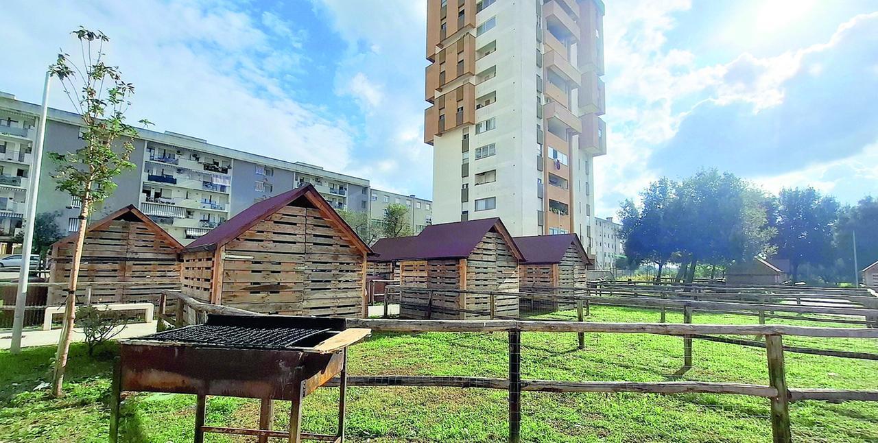 Sassari, esperimento fallito: gli orti urbani saranno rimossi – Ecco perché